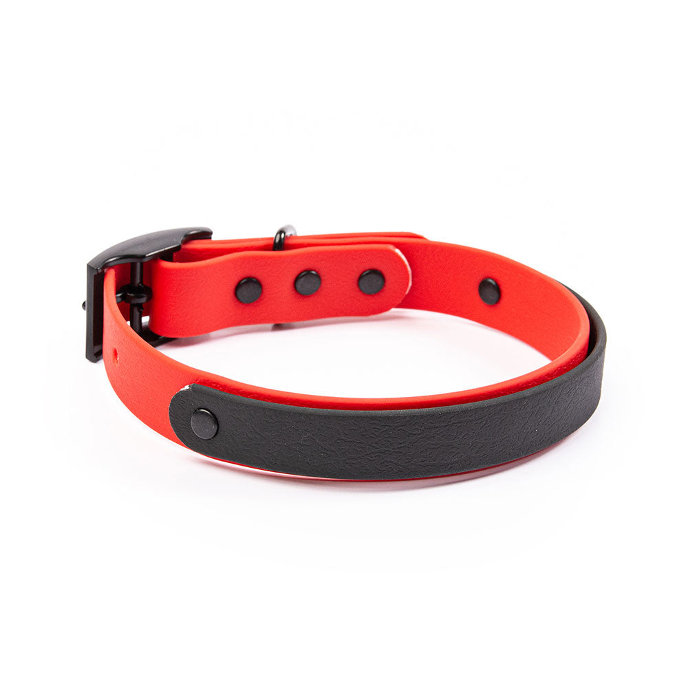 PVC Webbing Collar (Adjustable)