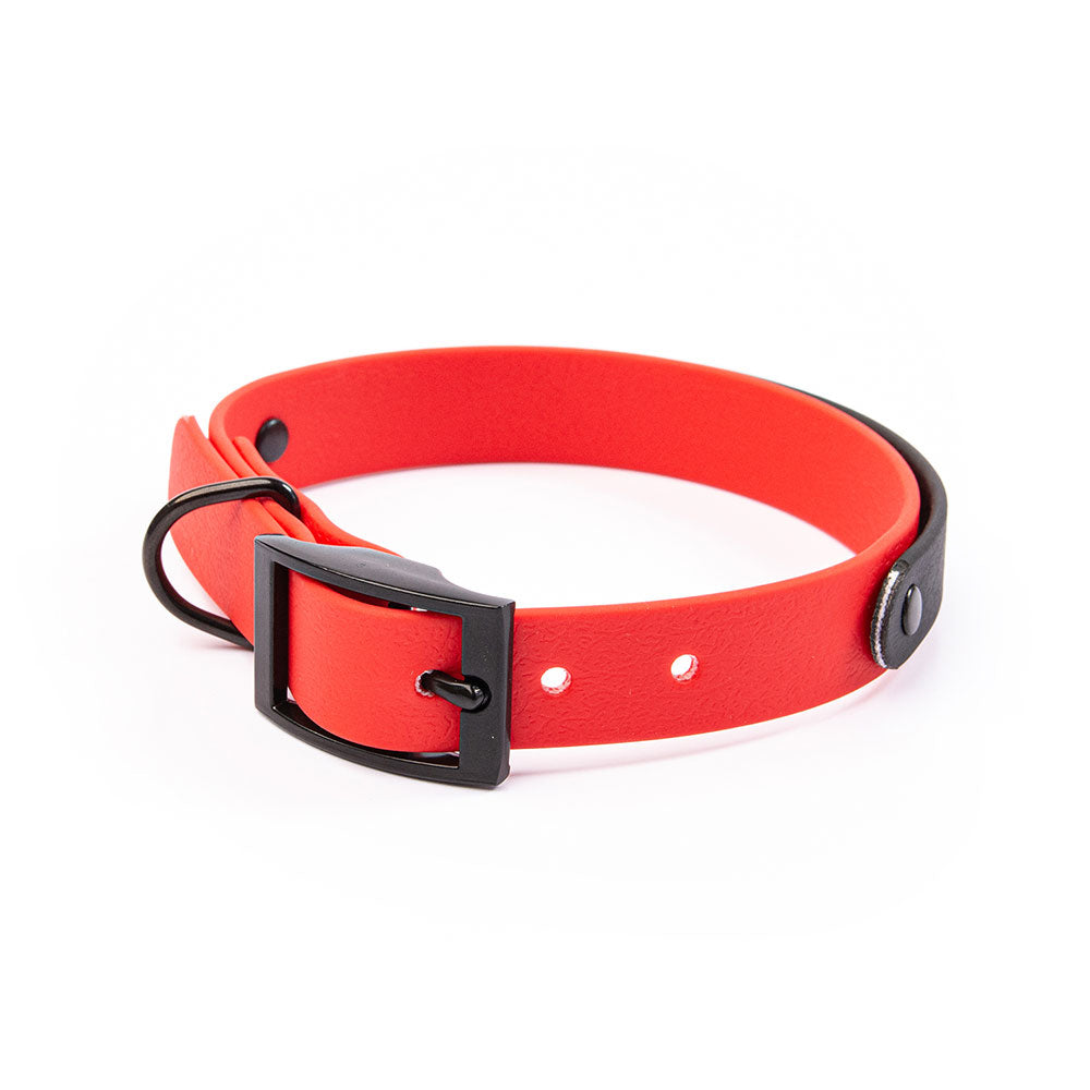 PVC Webbing Collar (Adjustable)