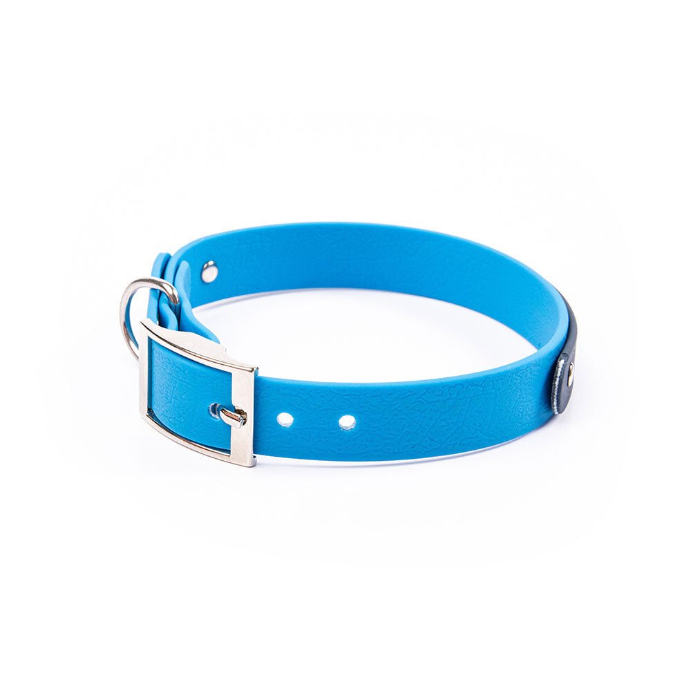 PVC Webbing Collar (Adjustable)