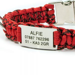 Engraved I.D. Tag