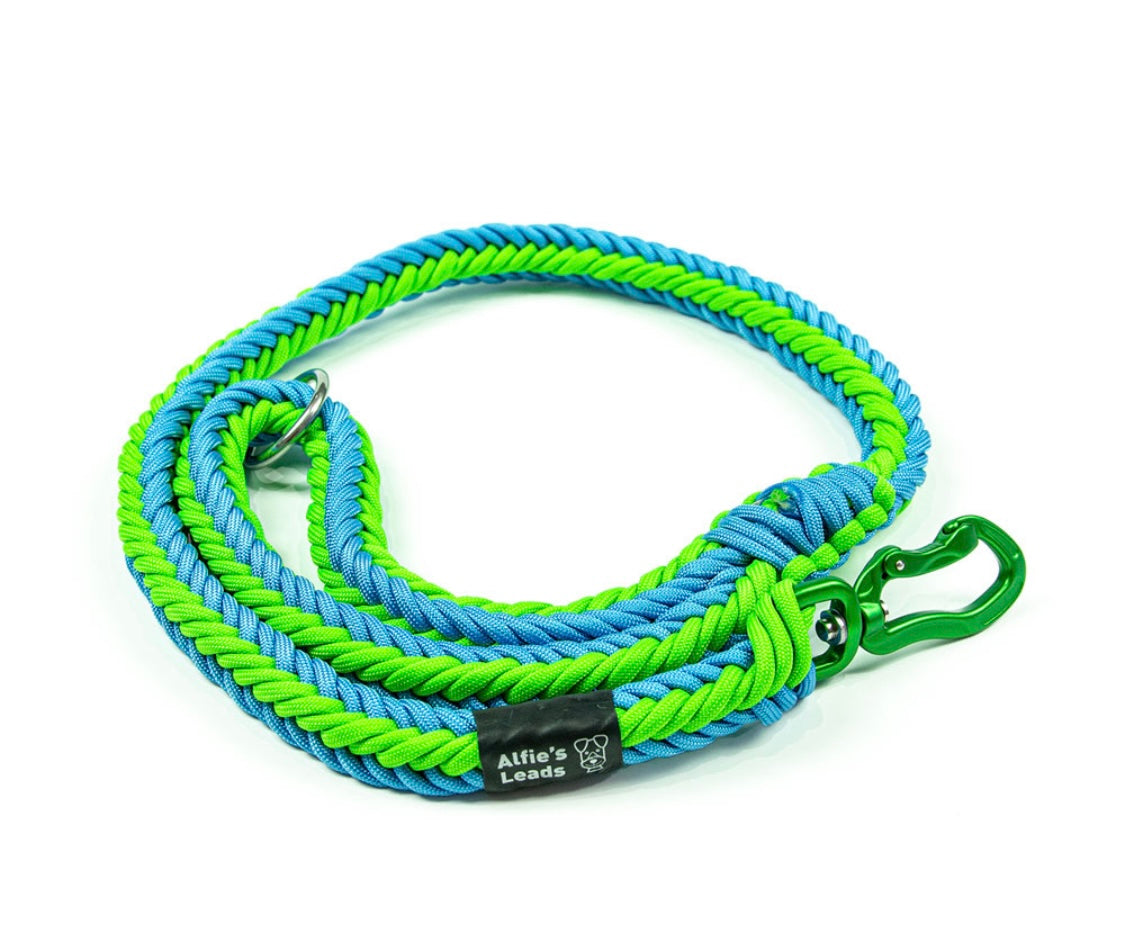 Chunky Paracord Lead with Carabiner
