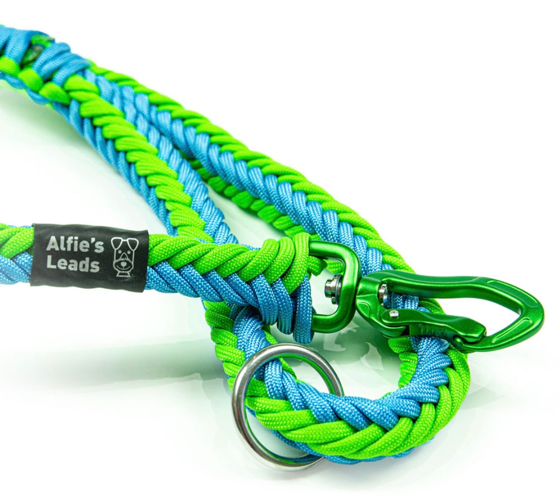 Chunky Paracord Lead with Carabiner