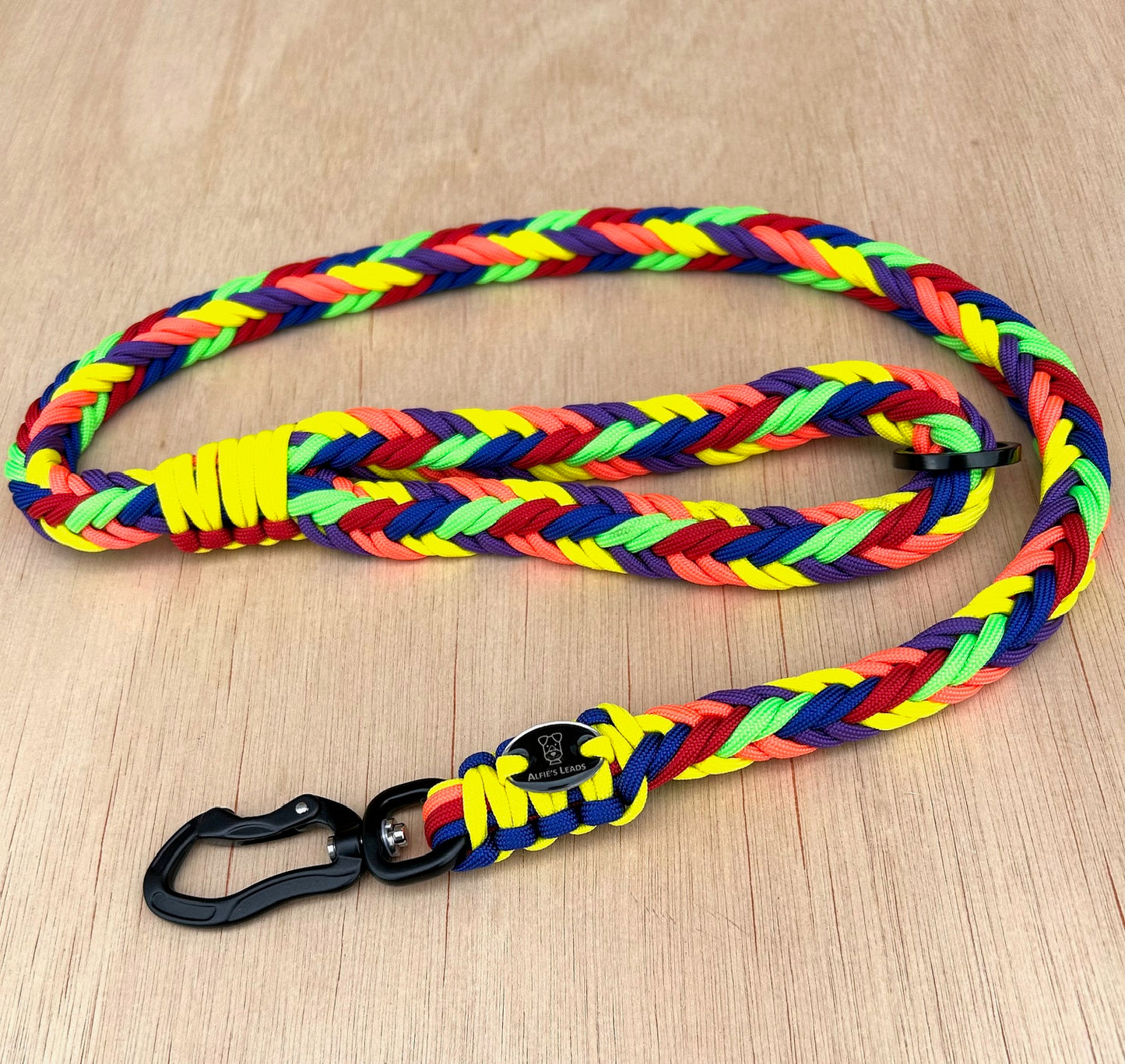 Chunky Paracord Lead with Carabiner