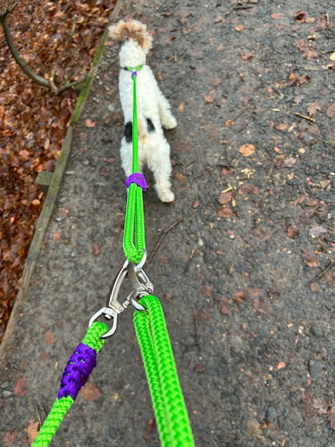 Multi-functional Cross Body Lead