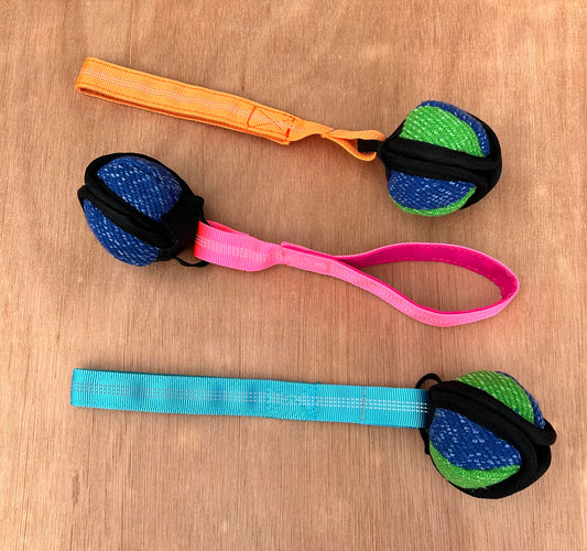 Clam Lotus Dog Treat Ball - 8 inch handle